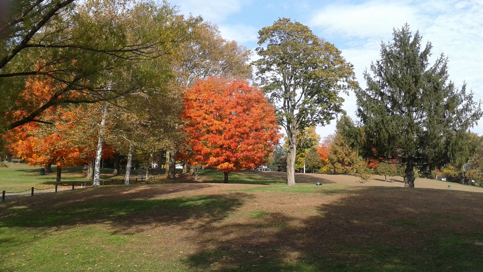 Rye Town Park photo 5