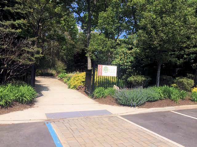 Sachem Public Library photo 4