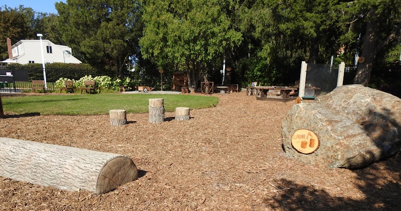 Sachem Public Library photo 5