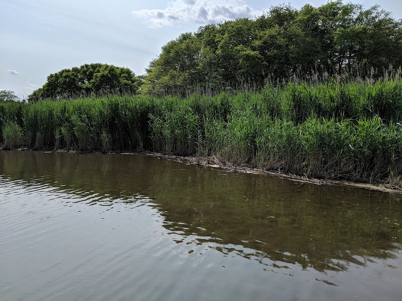 Sagg Swamp Preserve photo 3