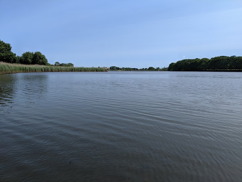 Sagg Swamp Preserve photo 5