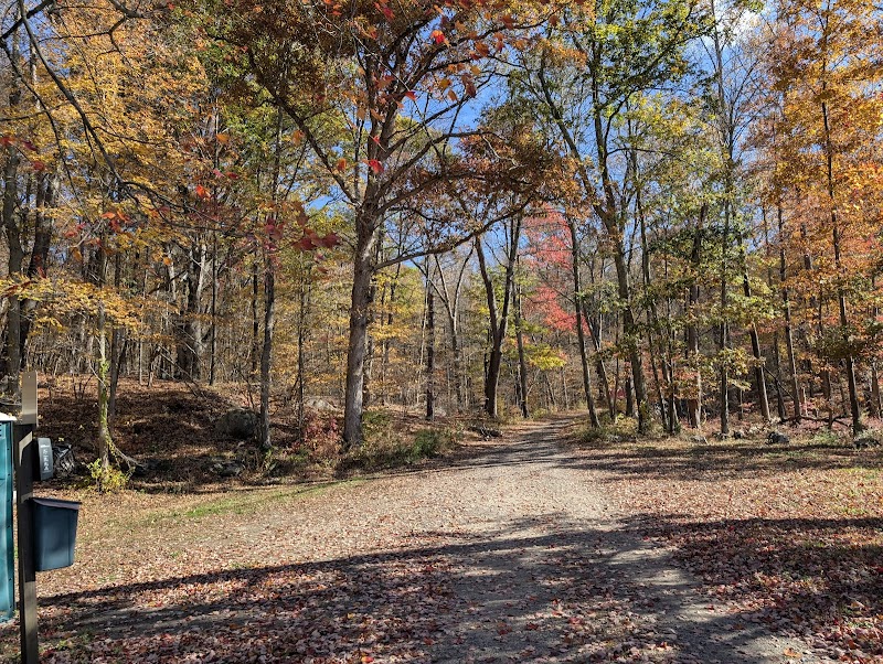 Sal J. Prezioso Mountain Lakes Park photo 4