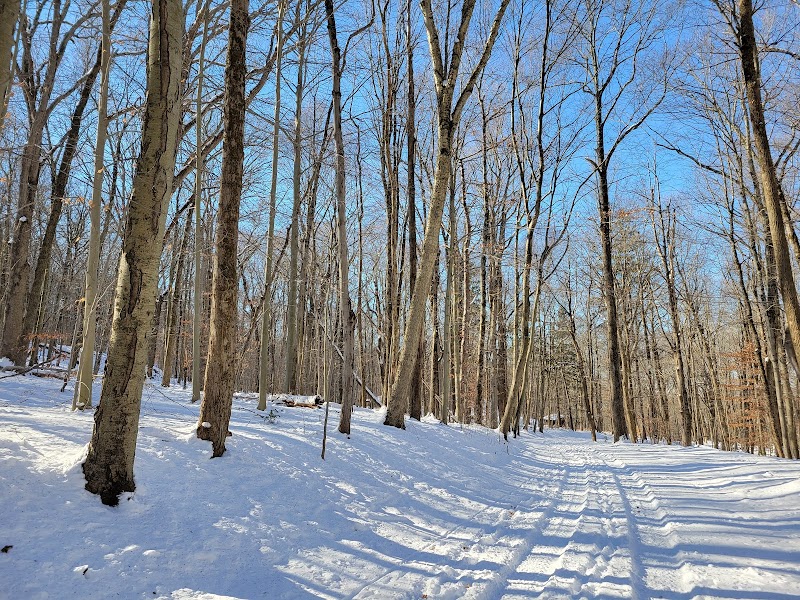 Sal J. Prezioso Mountain Lakes Park photo 5
