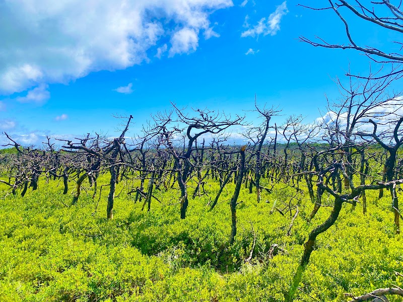 Sam's Point Area of Minnewaska State Park Preserve photo 4