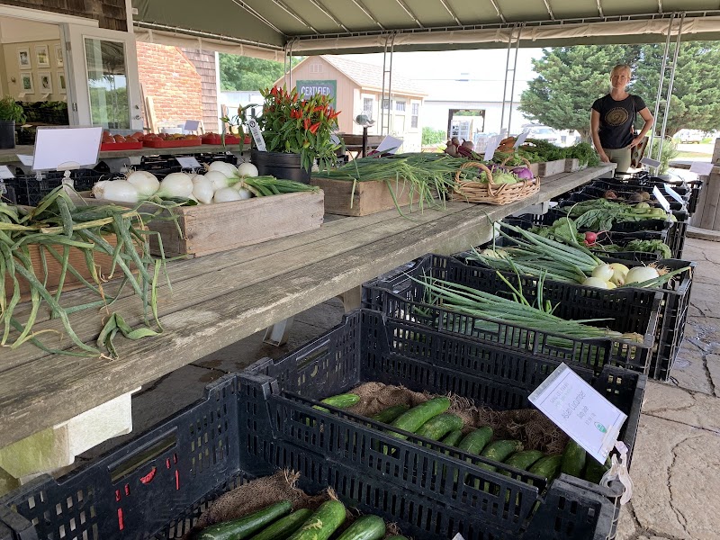 Sang Lee Farms photo 4