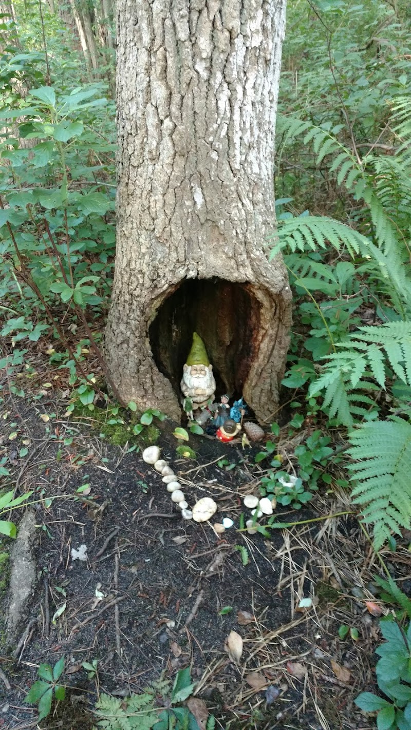 Sans Souci County Park photo 2