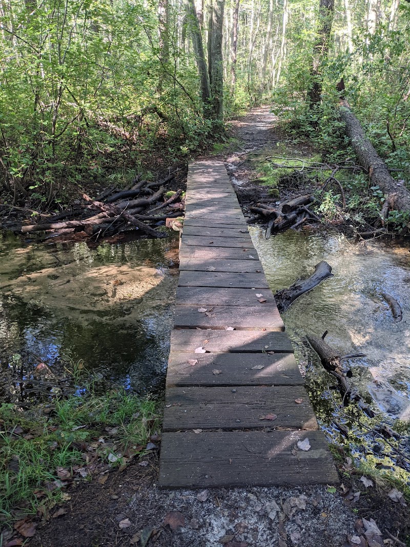 Sans Souci County Park photo 3