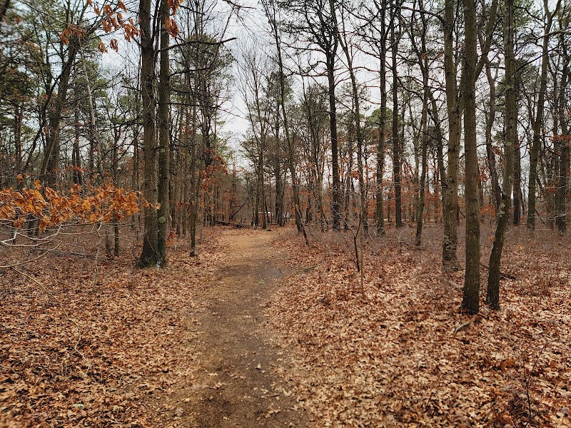 Sans Souci County Park photo 4