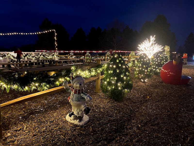 Santa's Christmas Tree Farm LI photo 3