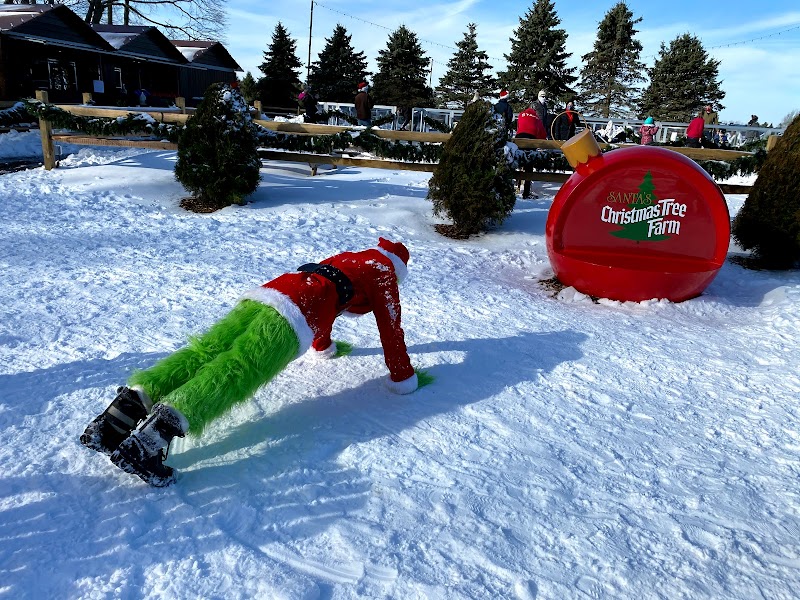 Santa's Christmas Tree Farm LI photo 4