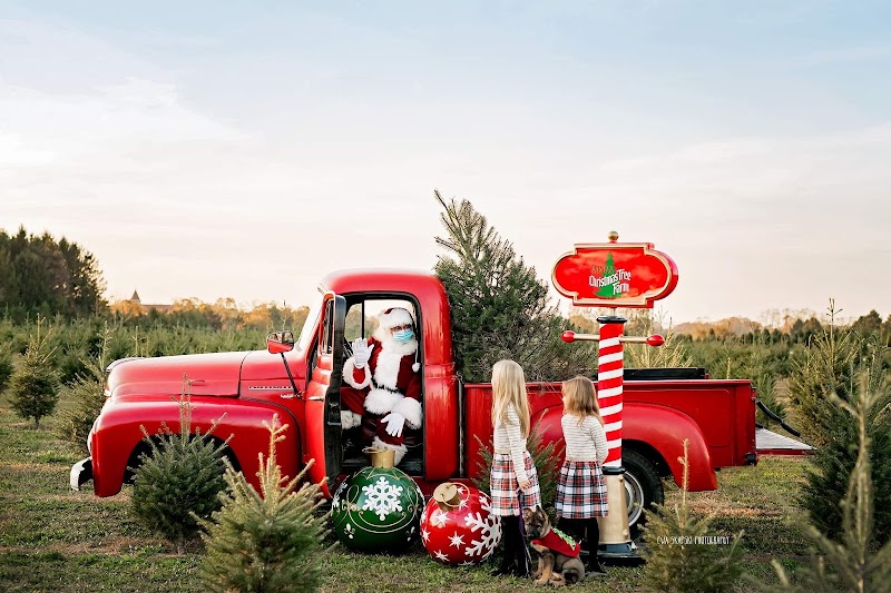 Santa's Christmas Tree Farm LI photo 5