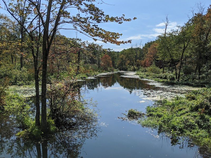 Saugatuck Falls Natural Area photo 2