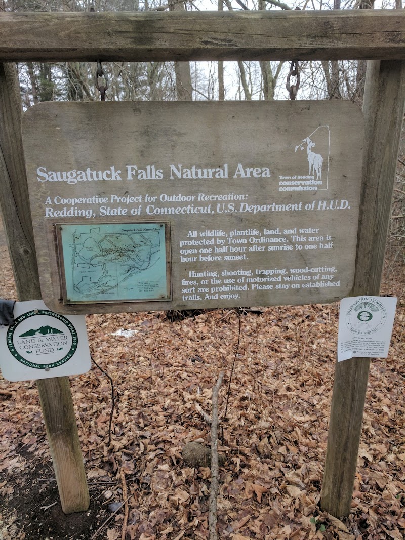 Saugatuck Falls Natural Area photo 3