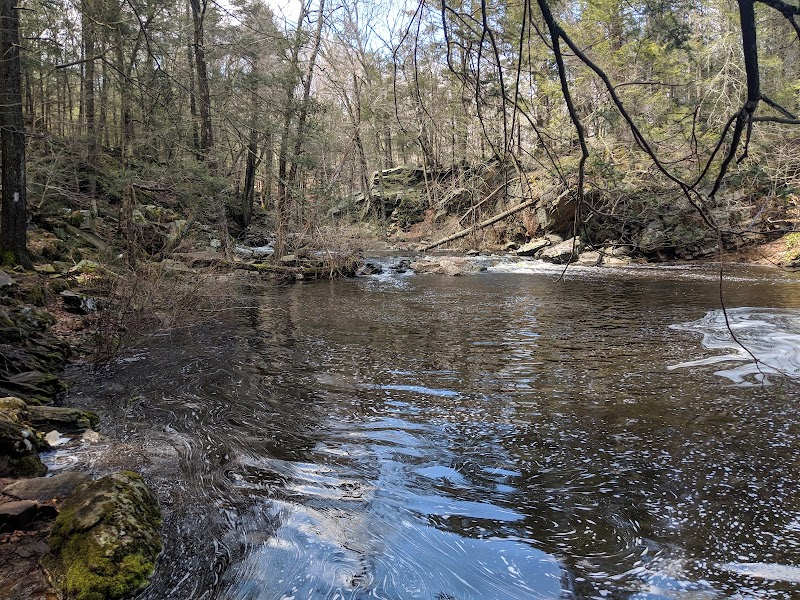 Saugatuck Falls Natural Area photo 4
