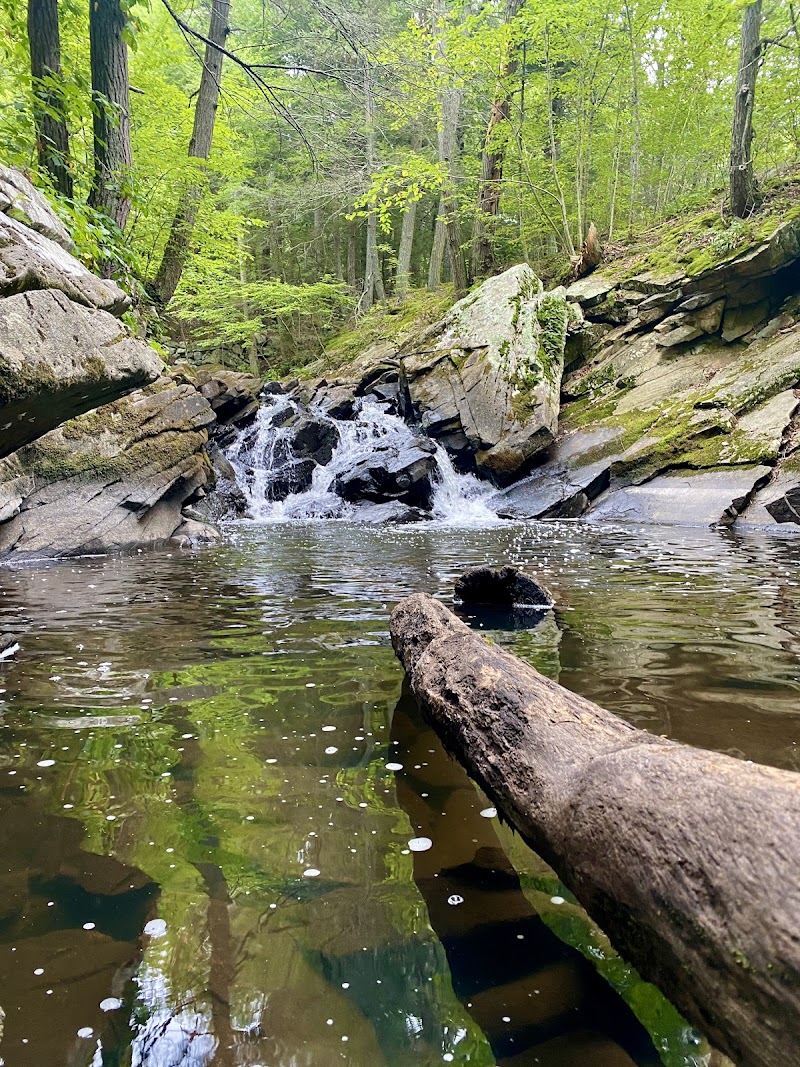 Saugatuck Falls Natural Area photo 5