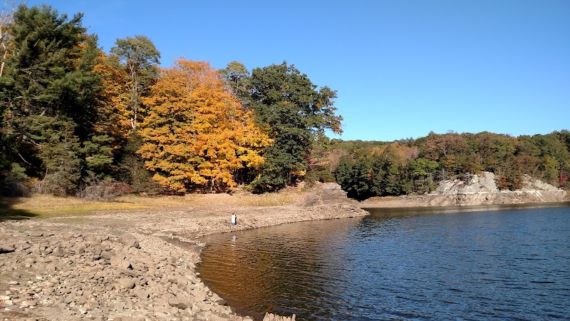 Saugatuck Universal Access Trail photo 2