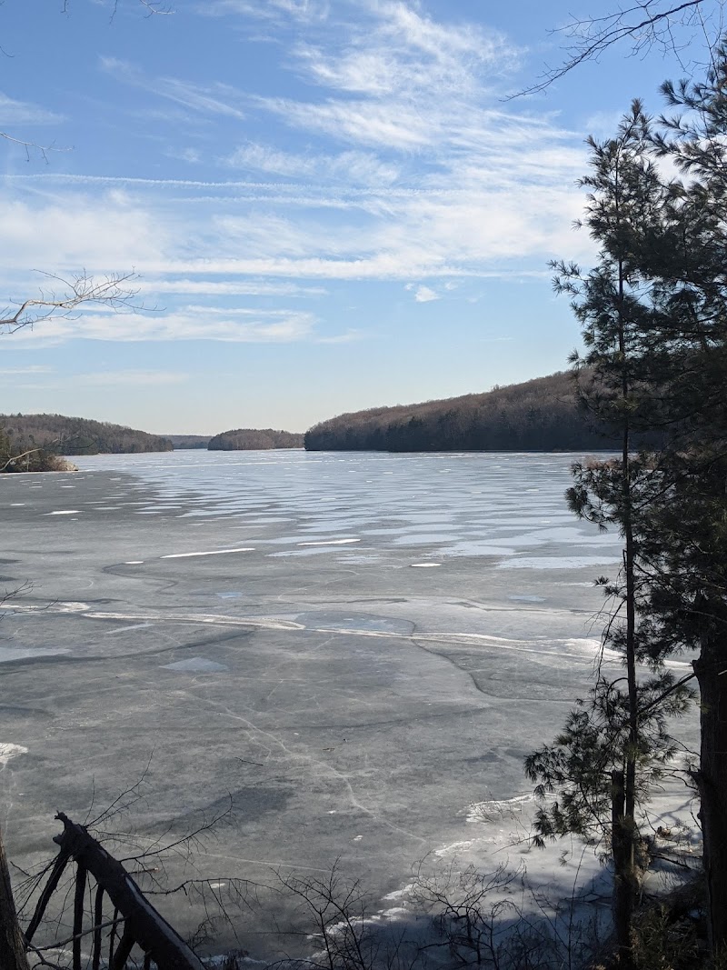 Saugatuck Universal Access Trail photo 3