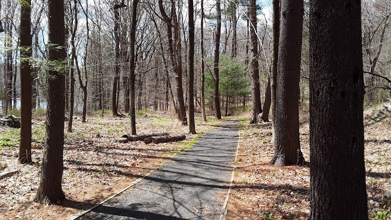 Saugatuck Universal Access Trail photo 4