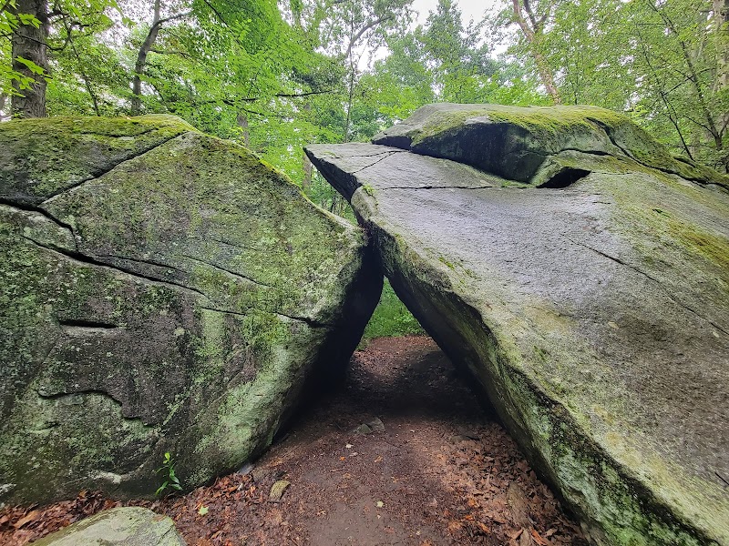 Saxon Woods Park photo 2