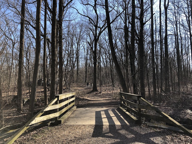 Saxon Woods Park photo 5