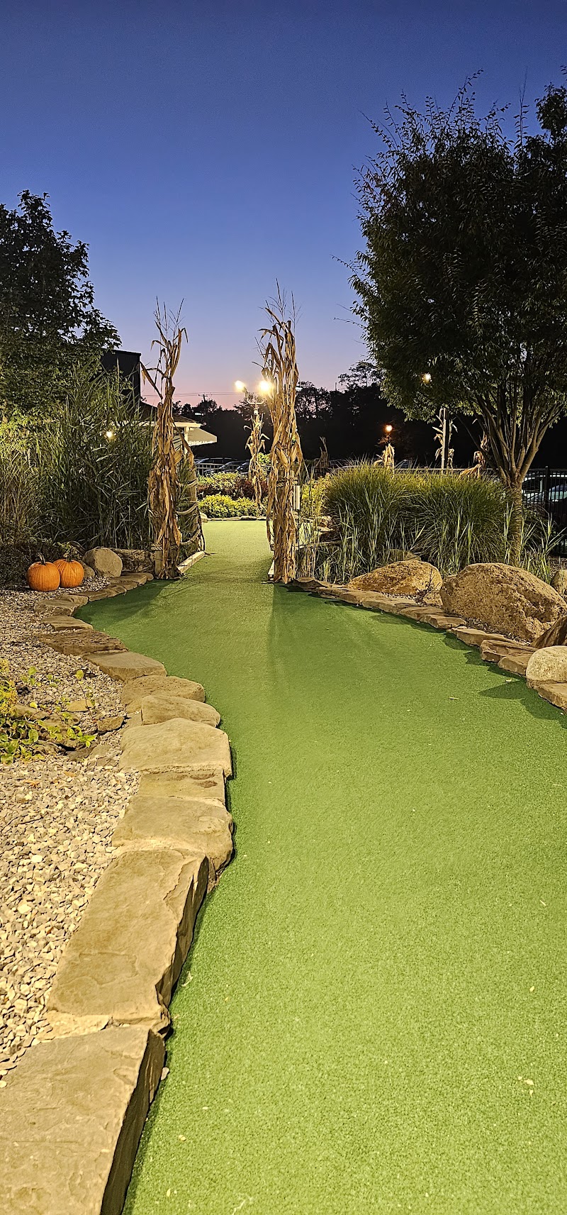 Sayville Falls Mini Golf photo 4