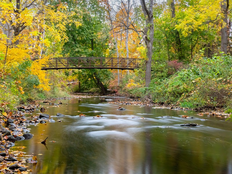 Schenck's Island photo 2