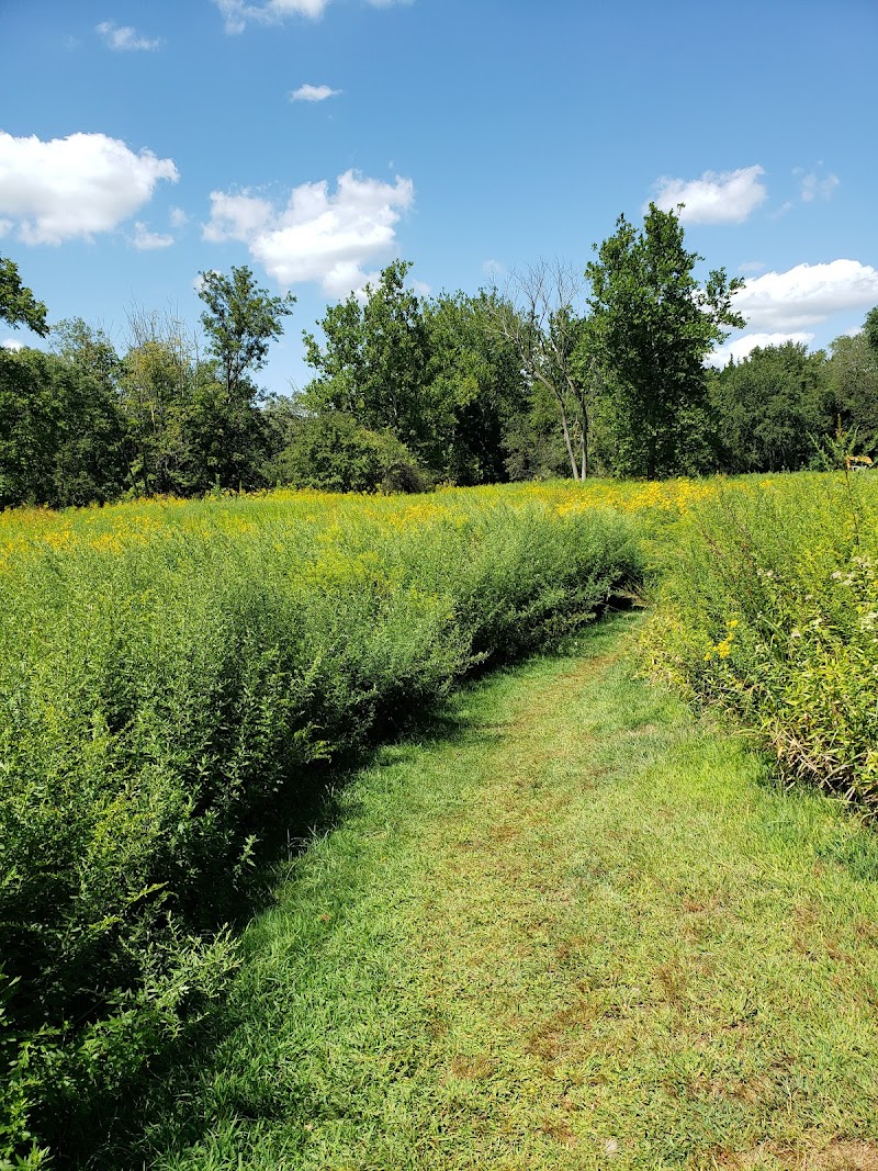 Schenck's Island photo 3