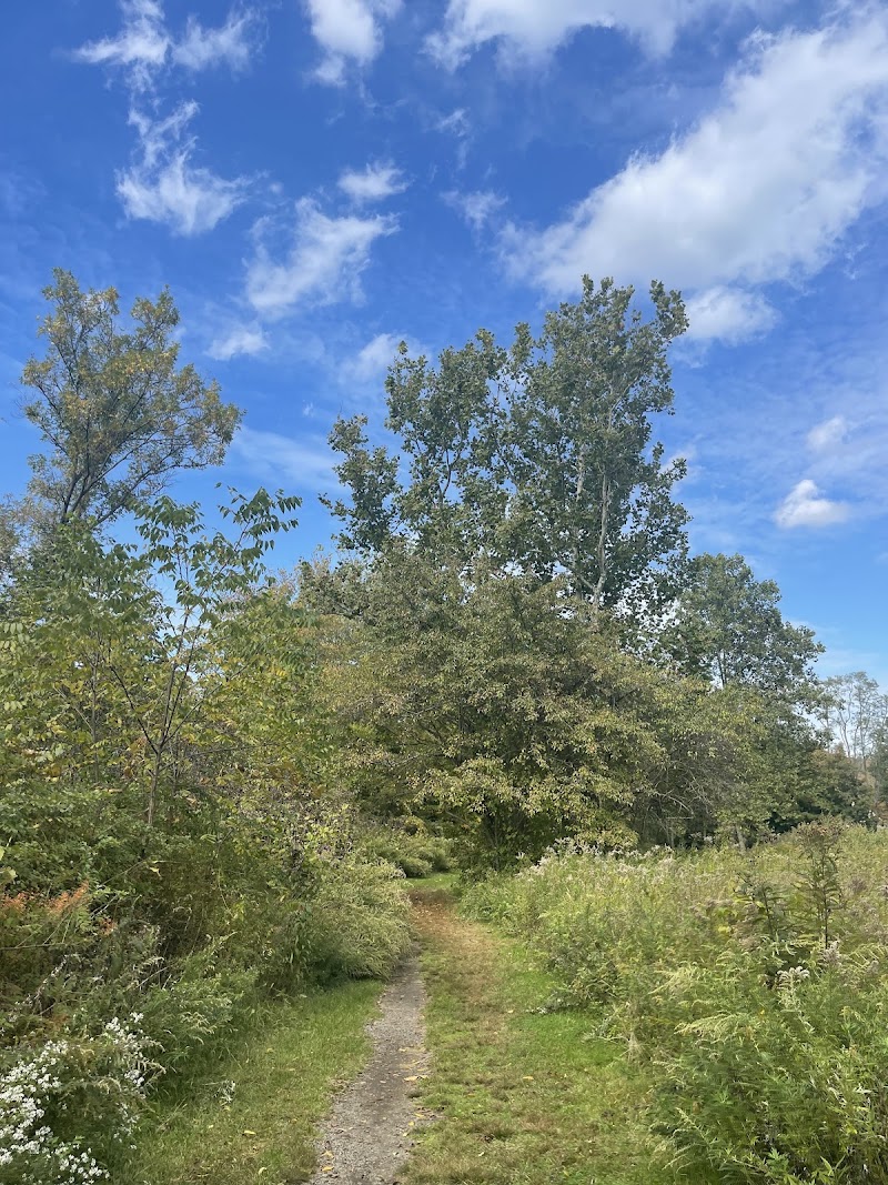 Schenck's Island photo 4
