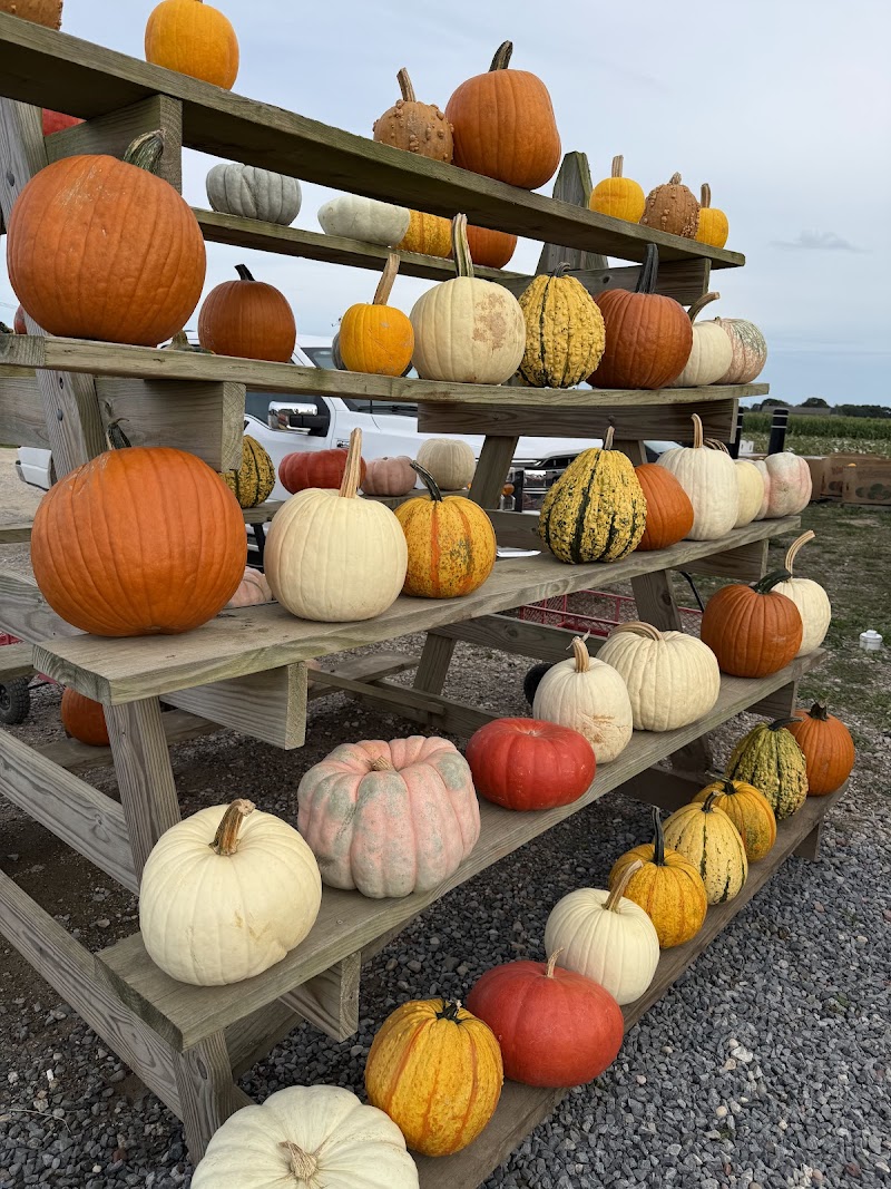 Schmitt's Farm Stand on Sound photo 2