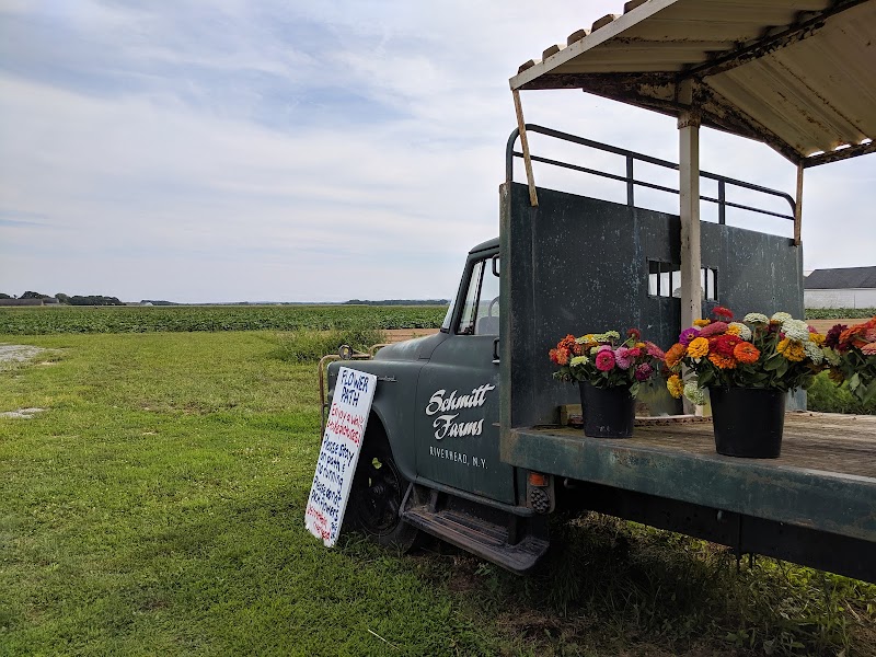 Schmitt's Farm Stand on Sound photo 3