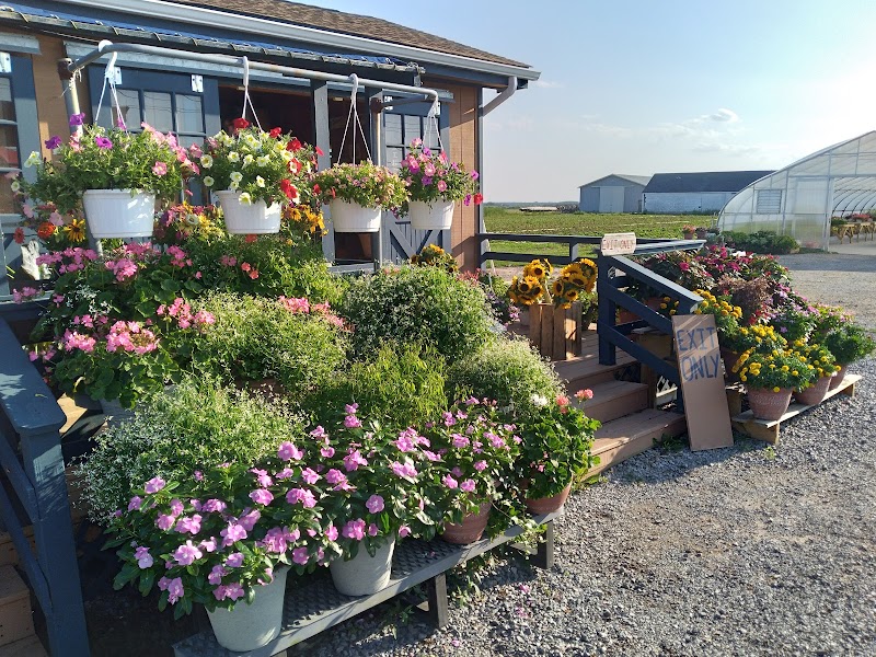 Schmitt's Farm Stand on Sound photo 4