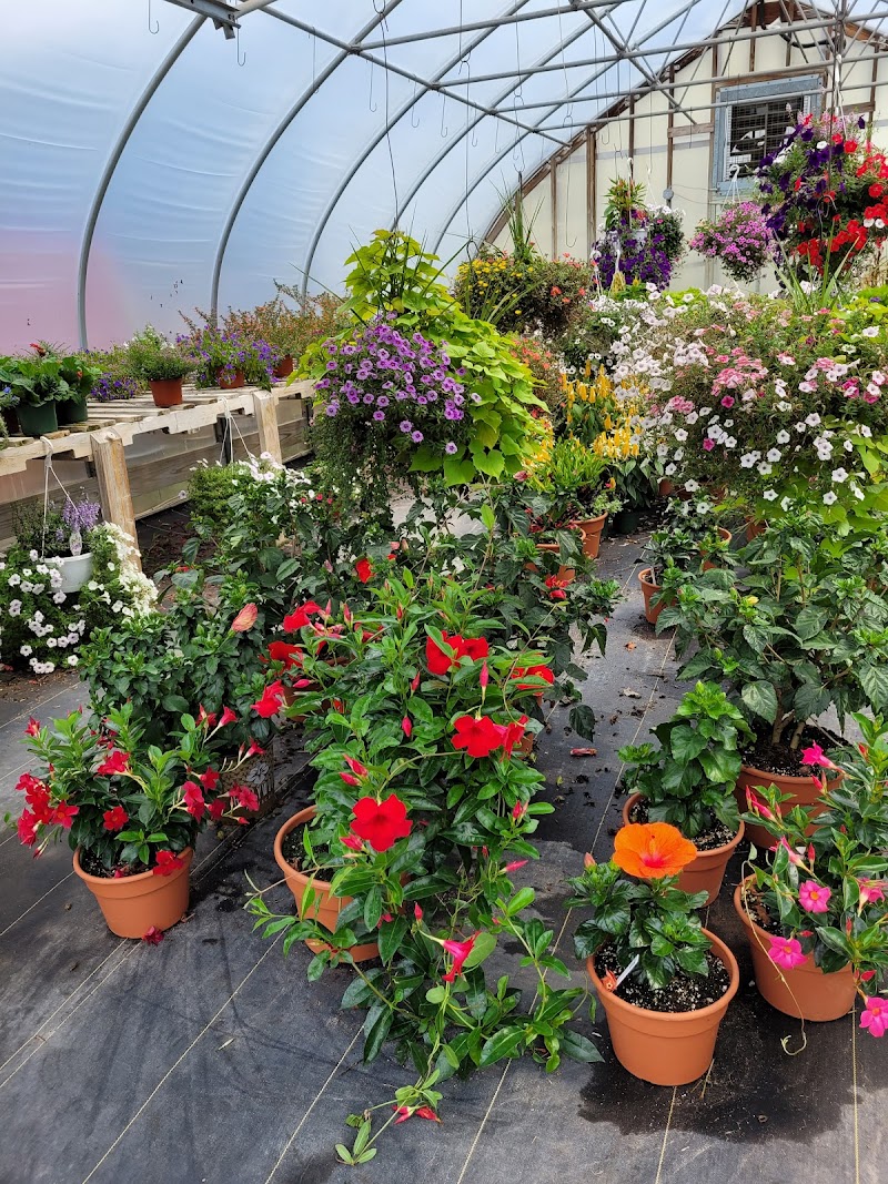 Schneiders Farm photo 2