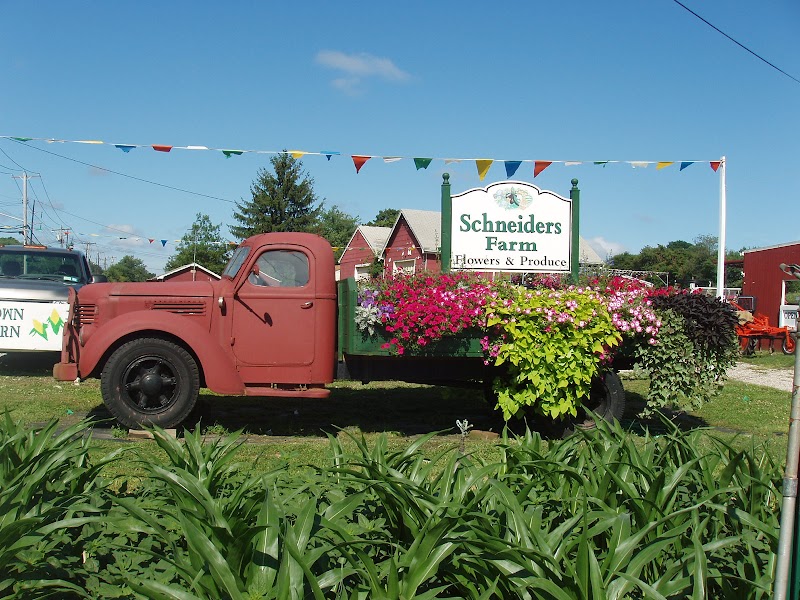 Schneiders Farm photo 3