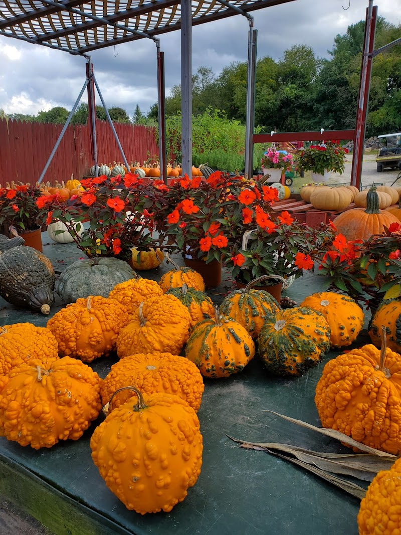 Schneiders Farm photo 4