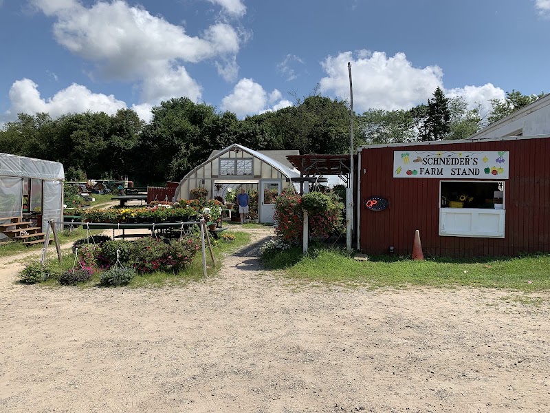 Schneiders Farm photo 5