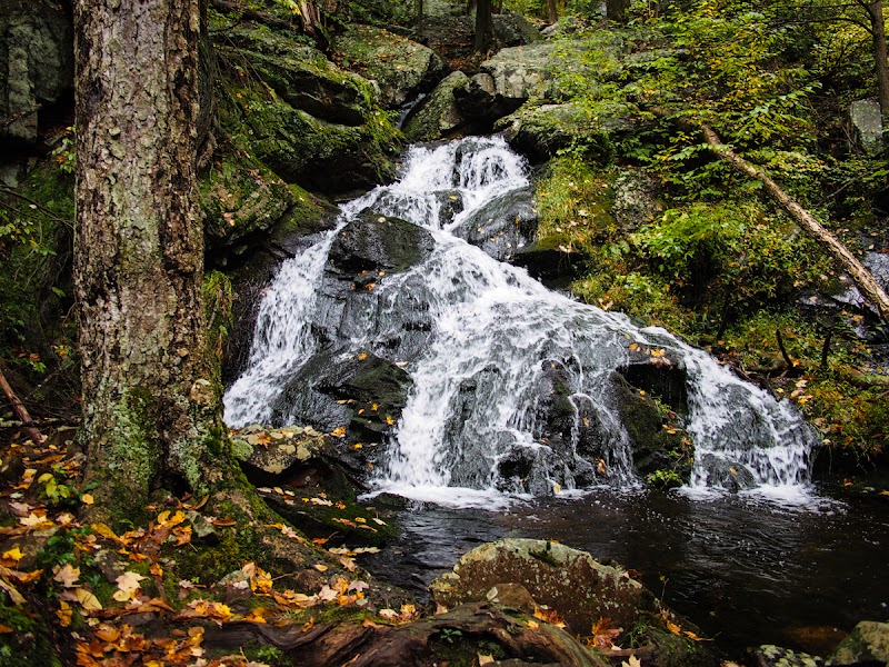 Schunnemunk State Park photo 3