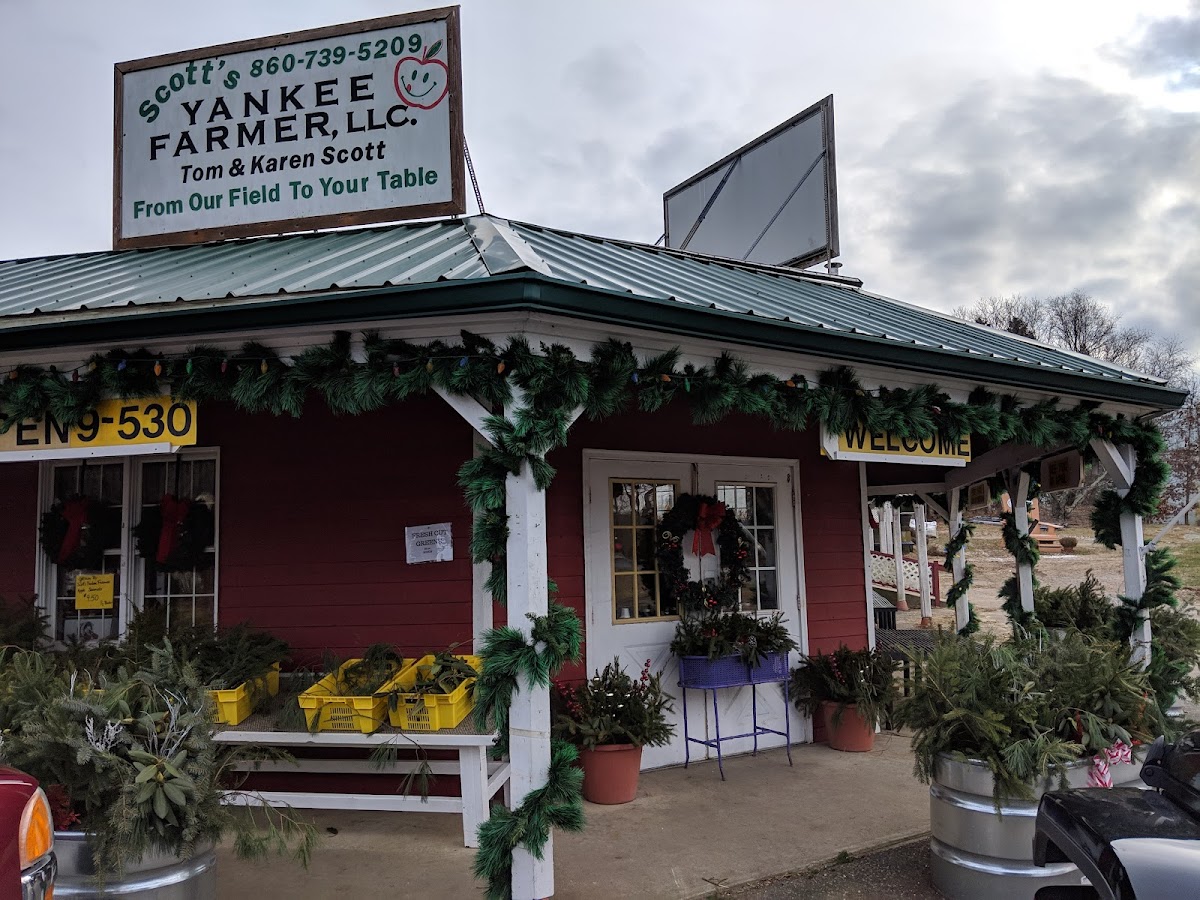 Scott's Yankee Farmer photo 3