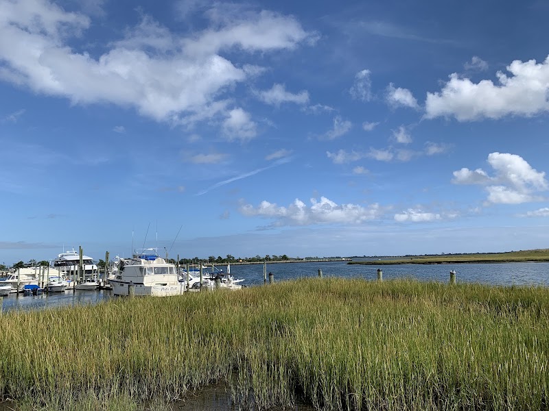 Sea Breeze Park photo 5