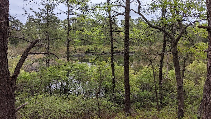 Sears Bellows County Park photo 2