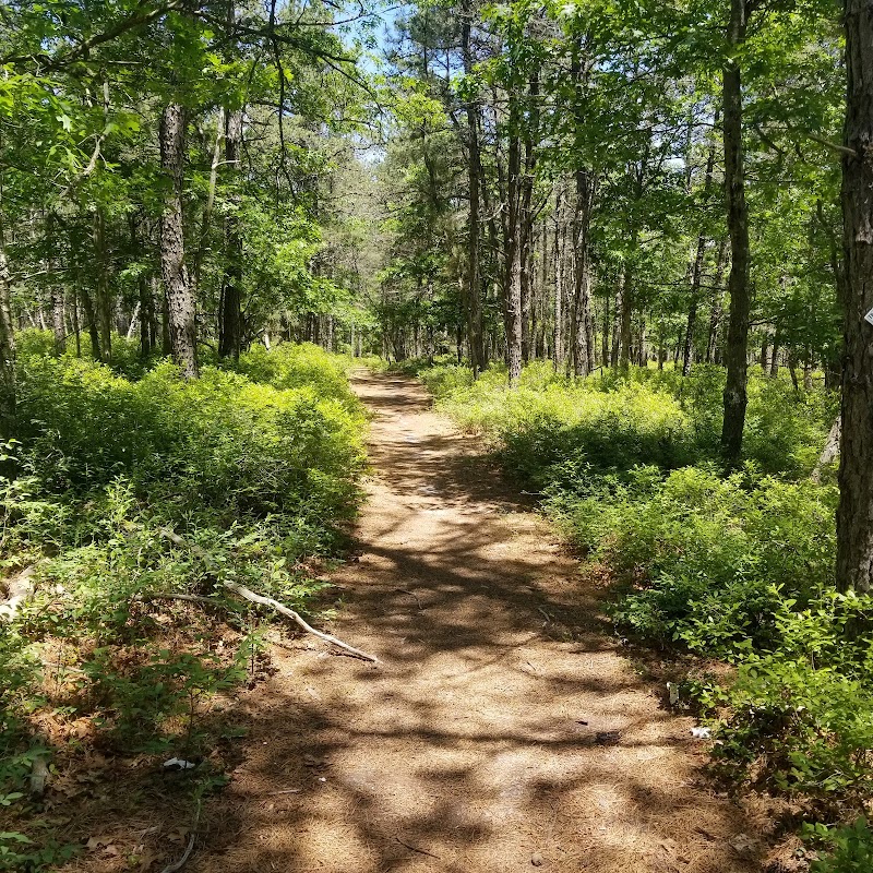 Sears Bellows County Park photo 3
