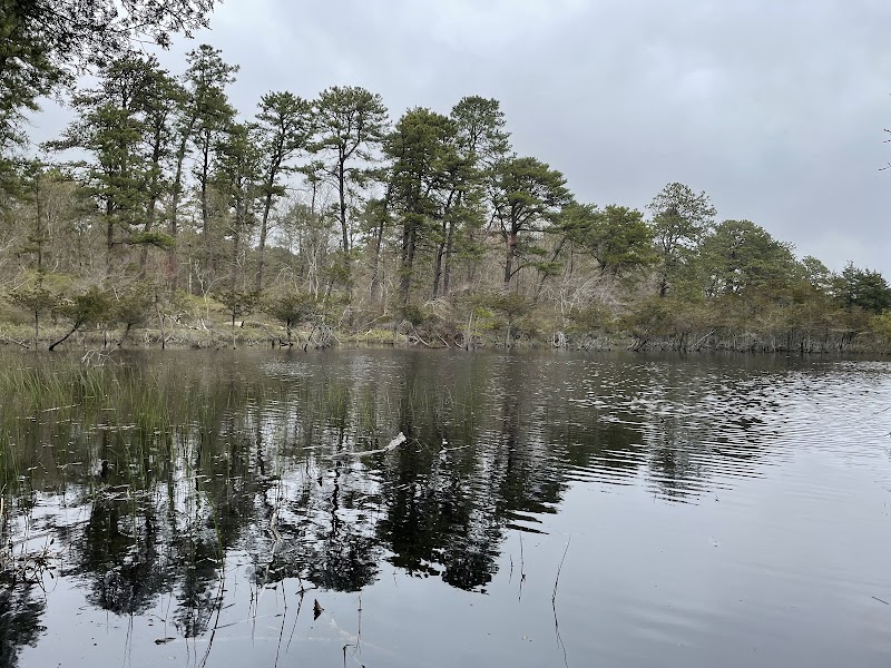 Sears Bellows County Park photo 5