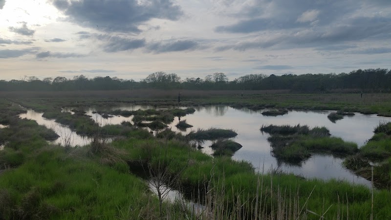 Seatuck Environmental Association photo 3