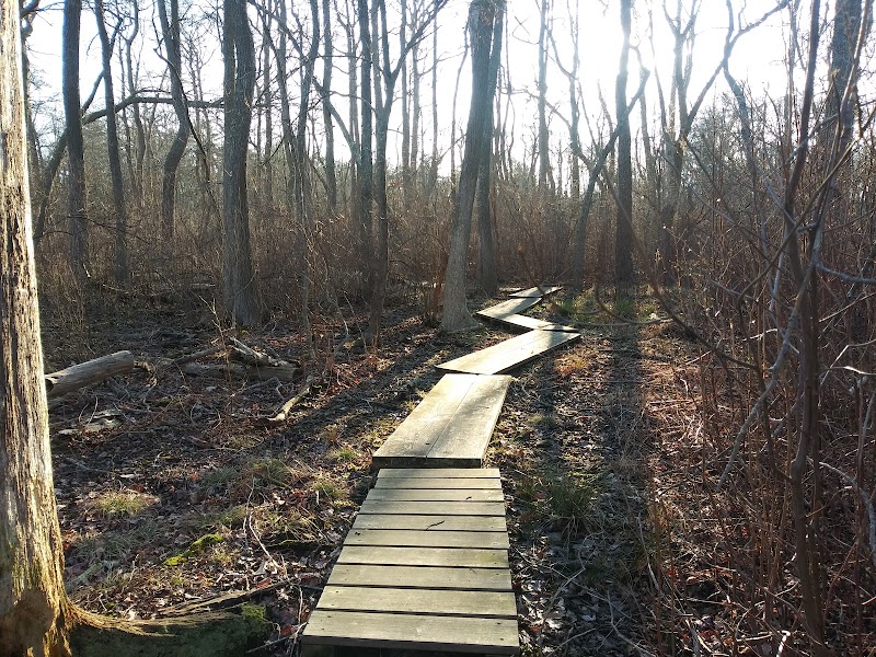 Seatuck Environmental Association photo 4