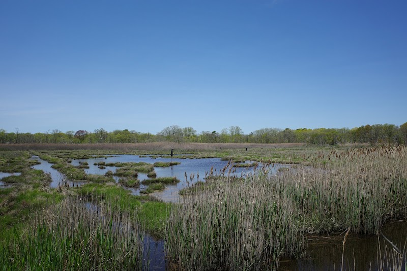Seatuck National Wildlife Refuge photo 2