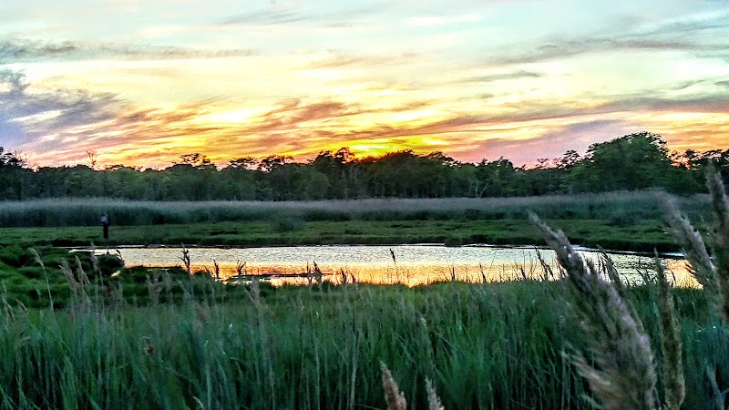 Seatuck National Wildlife Refuge photo 4