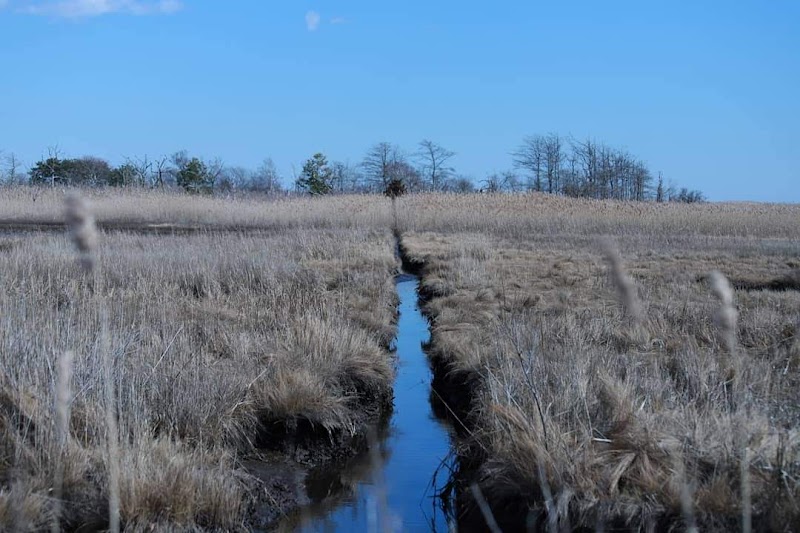 Seatuck National Wildlife Refuge photo 5