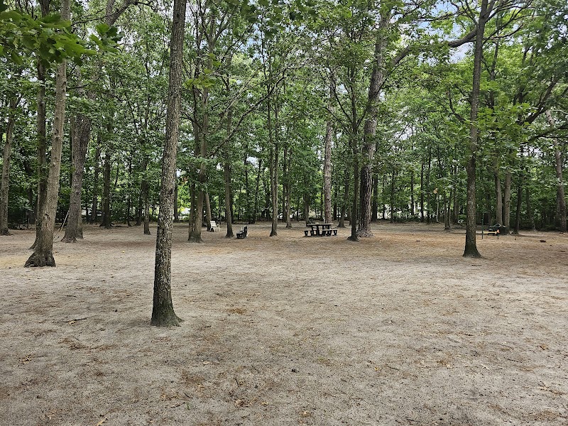Selden Dog Park photo 2