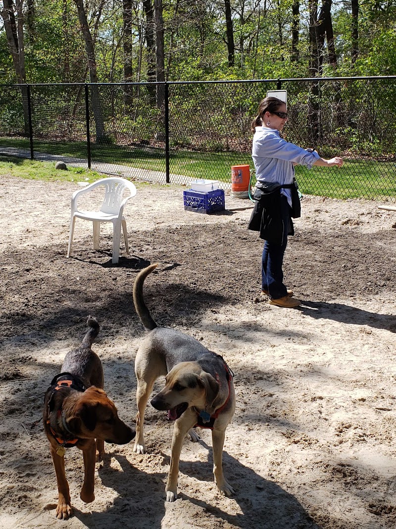 Selden Dog Park photo 3