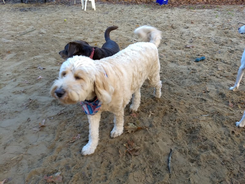 Selden Dog Park photo 5