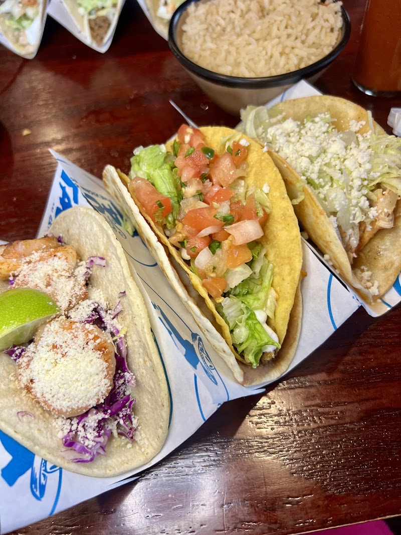 Señor Taco Mexican Grill & Bar photo 5